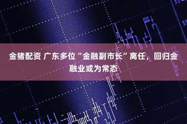 金猪配资 广东多位“金融副市长”离任，回归金融业或为常态